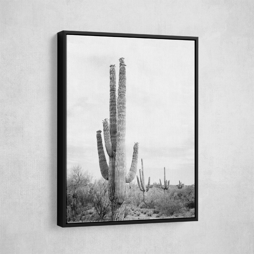 Saguaro BaW