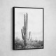 Saguaro BaW Saguaro BaW