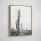 Saguaro BaW Saguaro BaW