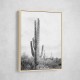 Saguaro BaW Saguaro BaW