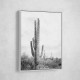 Saguaro BaW Saguaro BaW