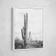 Saguaro BaW Saguaro BaW