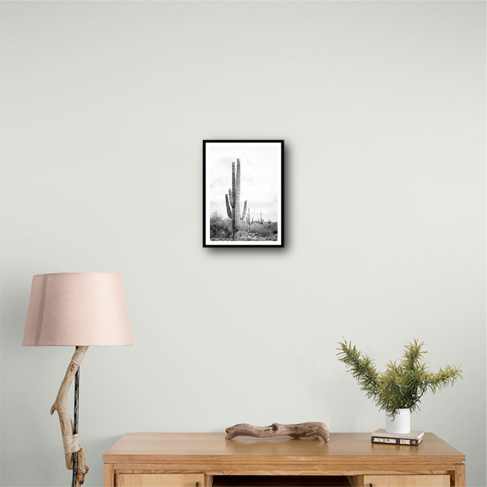 Saguaro BaW Saguaro BaW