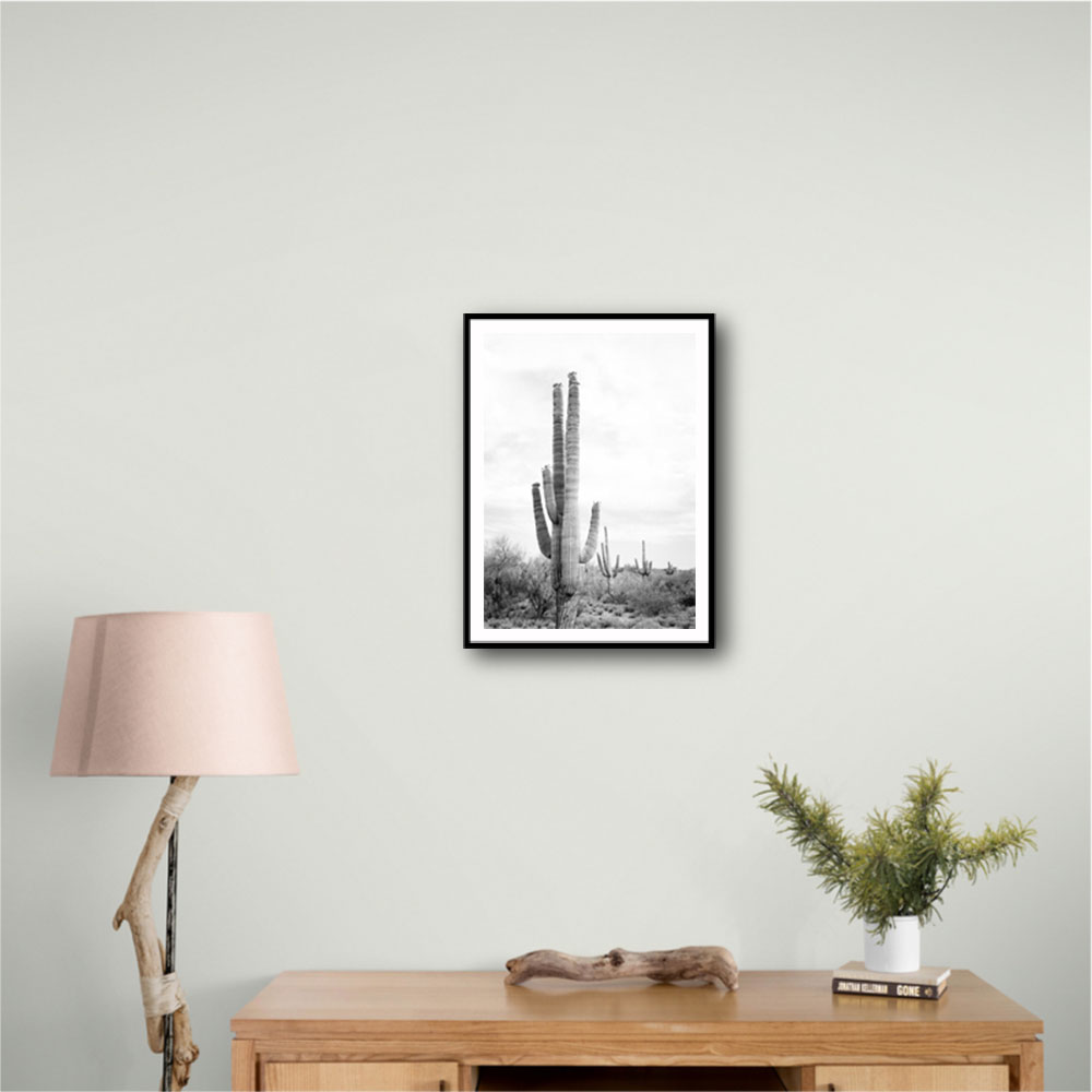 Saguaro BaW