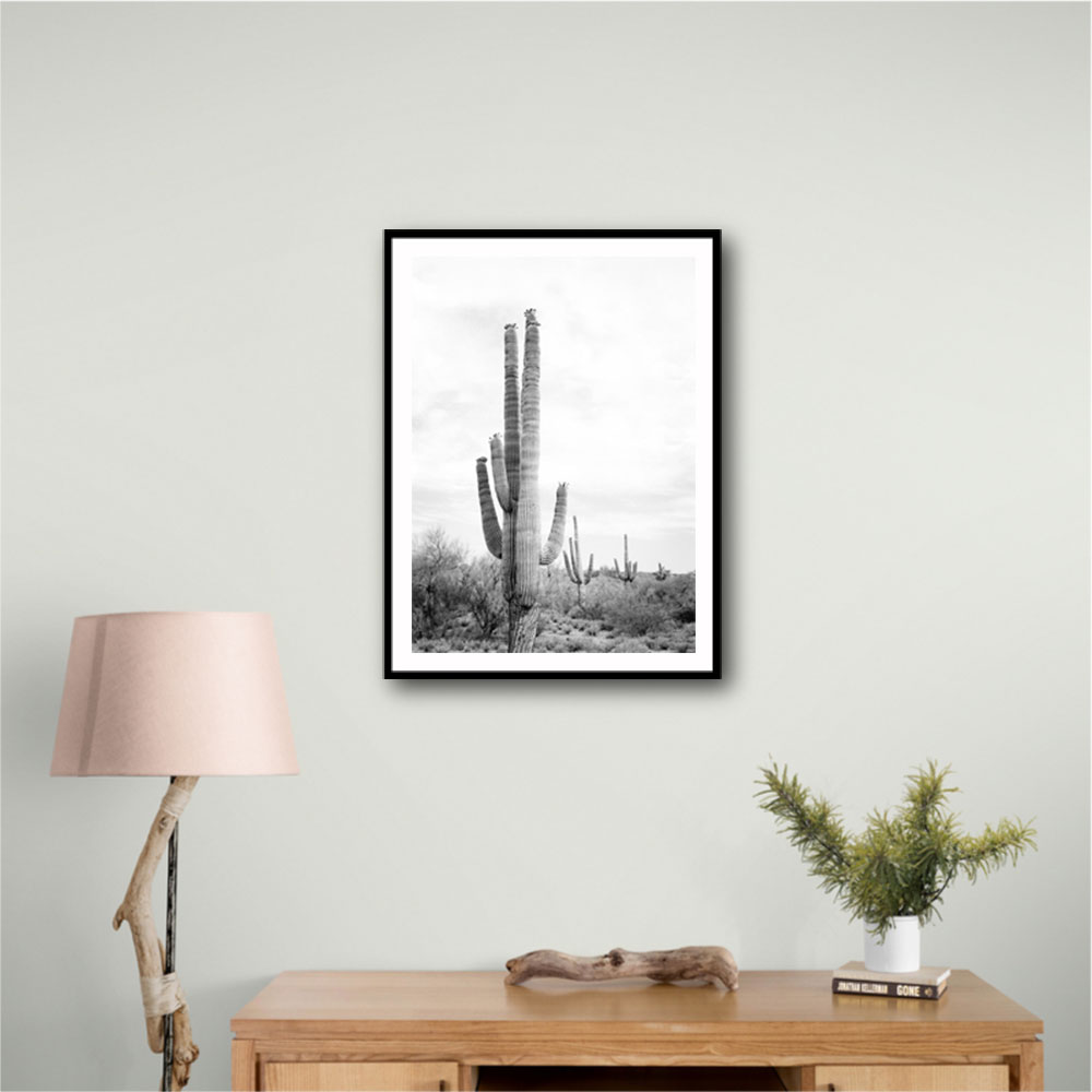 Saguaro BaW Saguaro BaW