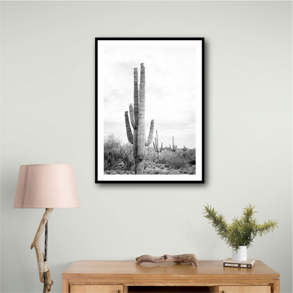 Saguaro BaW Saguaro BaW