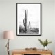 Saguaro BaW Saguaro BaW