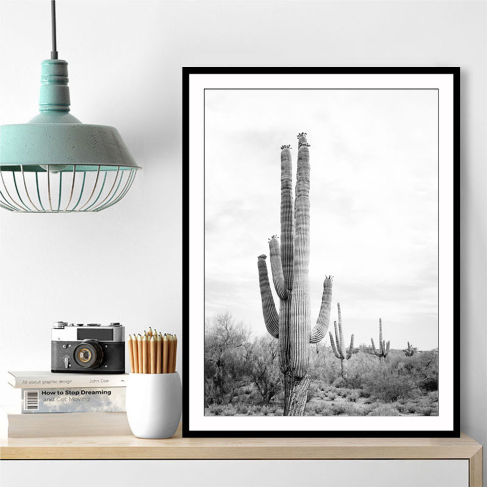 Saguaro BaW