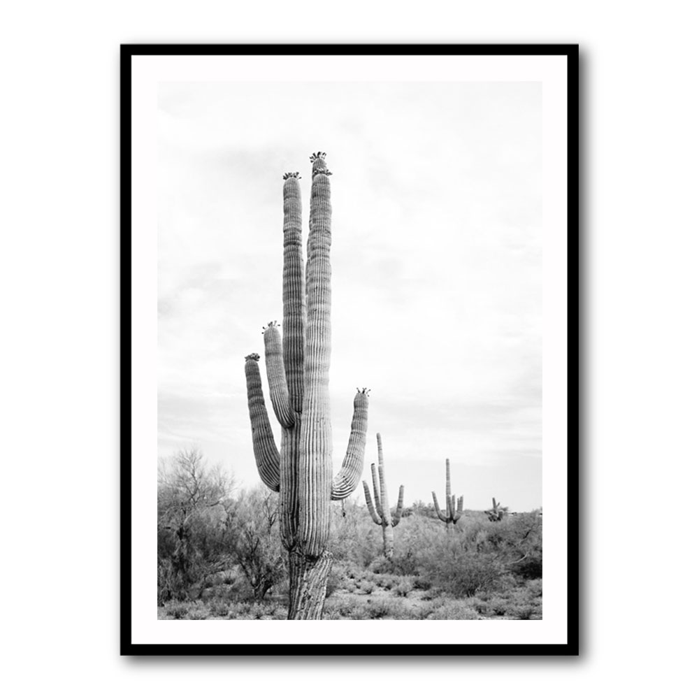 Saguaro BaW Saguaro BaW