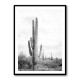 Saguaro BaW