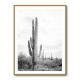 Saguaro BaW Saguaro BaW