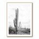 Saguaro BaW Saguaro BaW