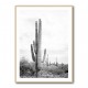 Saguaro BaW