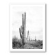 Saguaro BaW