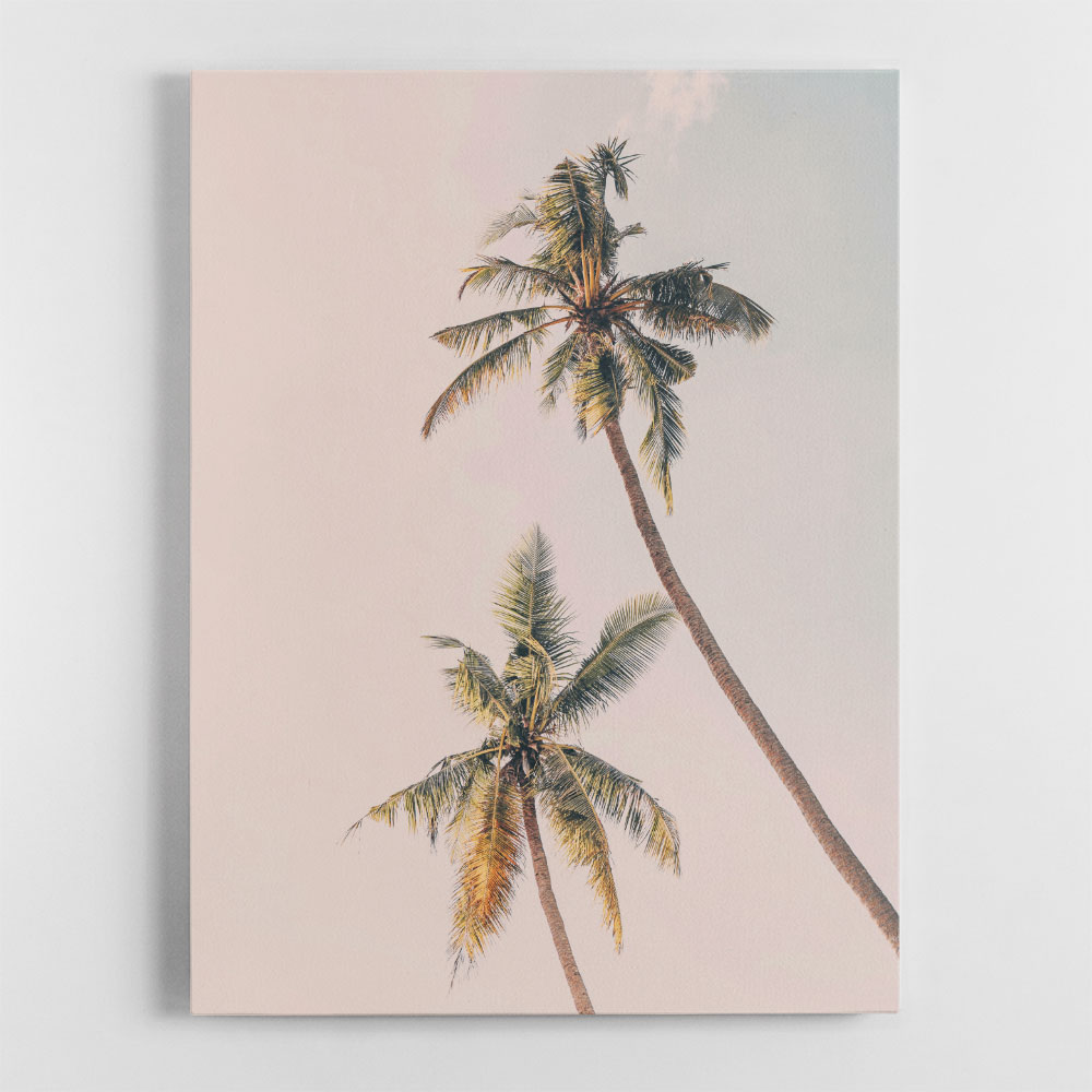 Tropical Palms