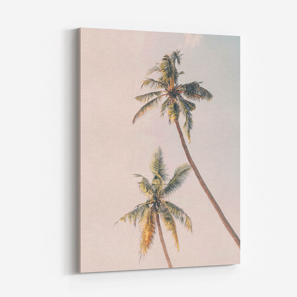 Tropical Palms