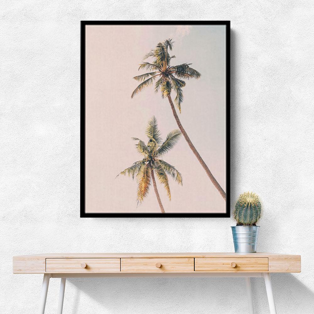 Tropical Palms