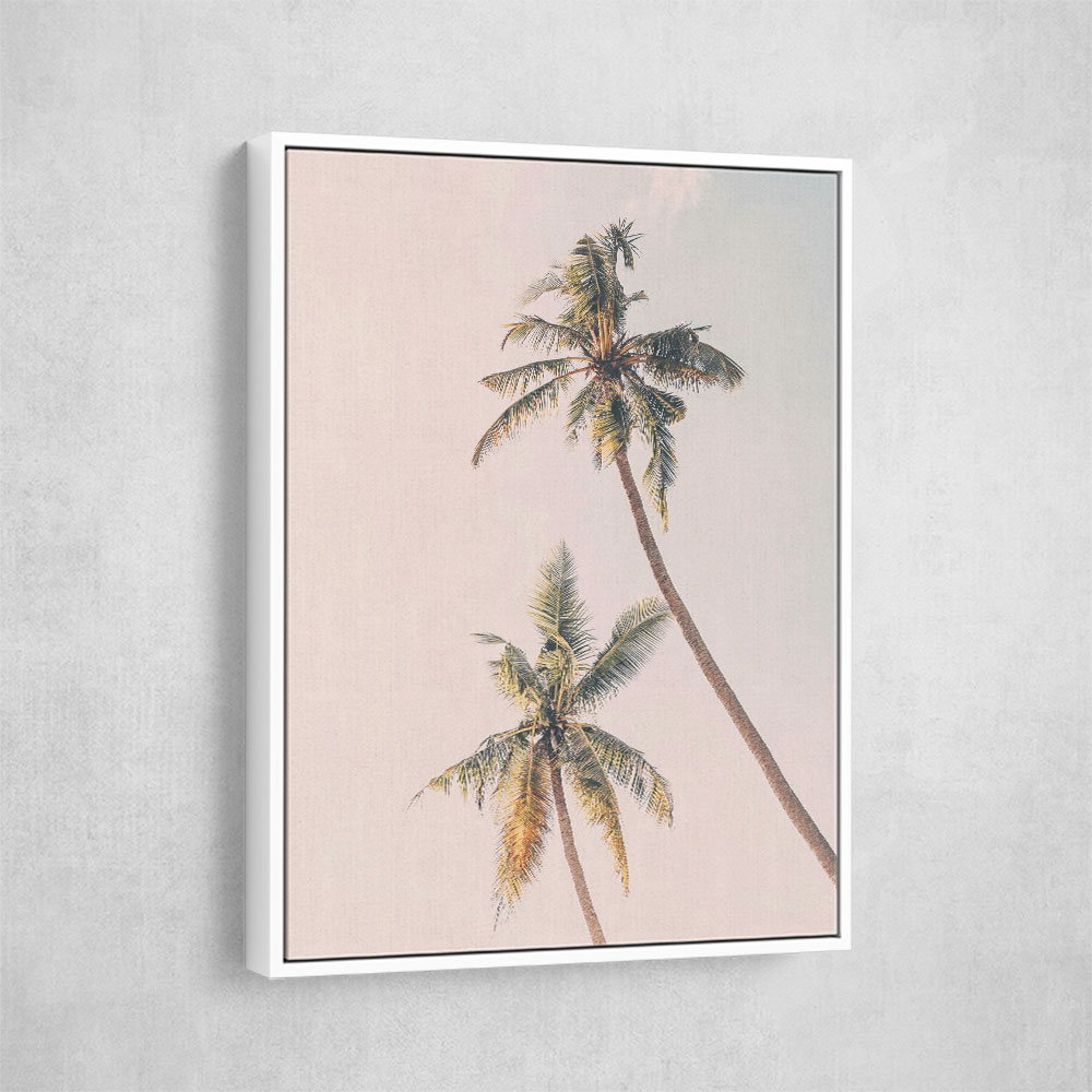 Tropical Palms