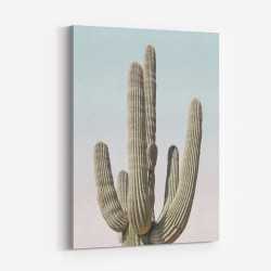 Saguaro