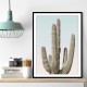 Saguaro Saguaro