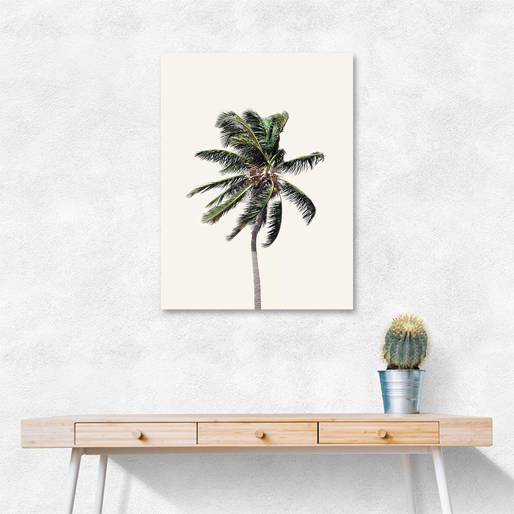 Windy Palm Tree