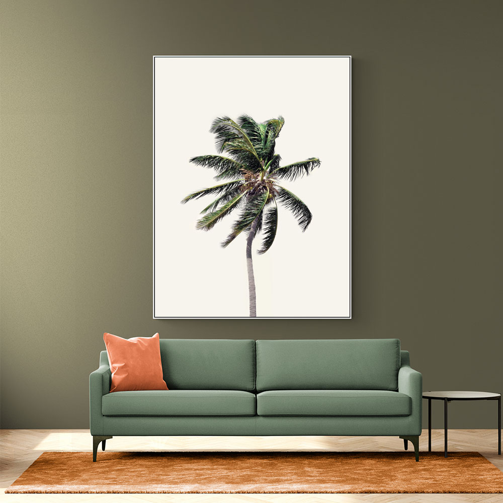 Windy Palm Tree