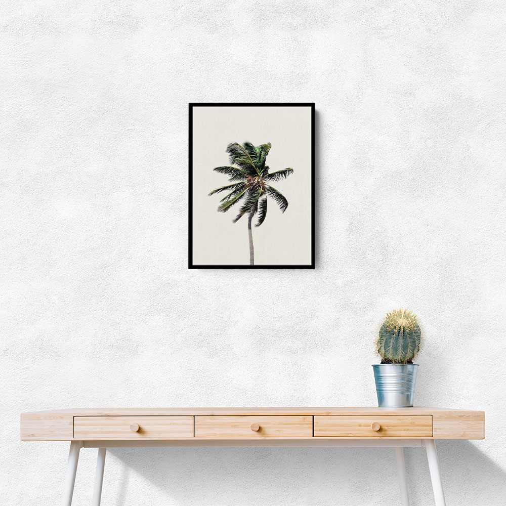 Windy Palm Tree