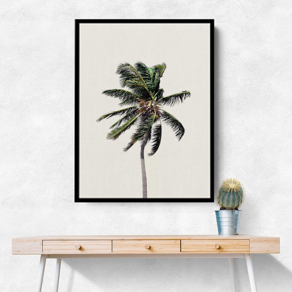 Windy Palm Tree