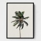 Windy Palm Tree