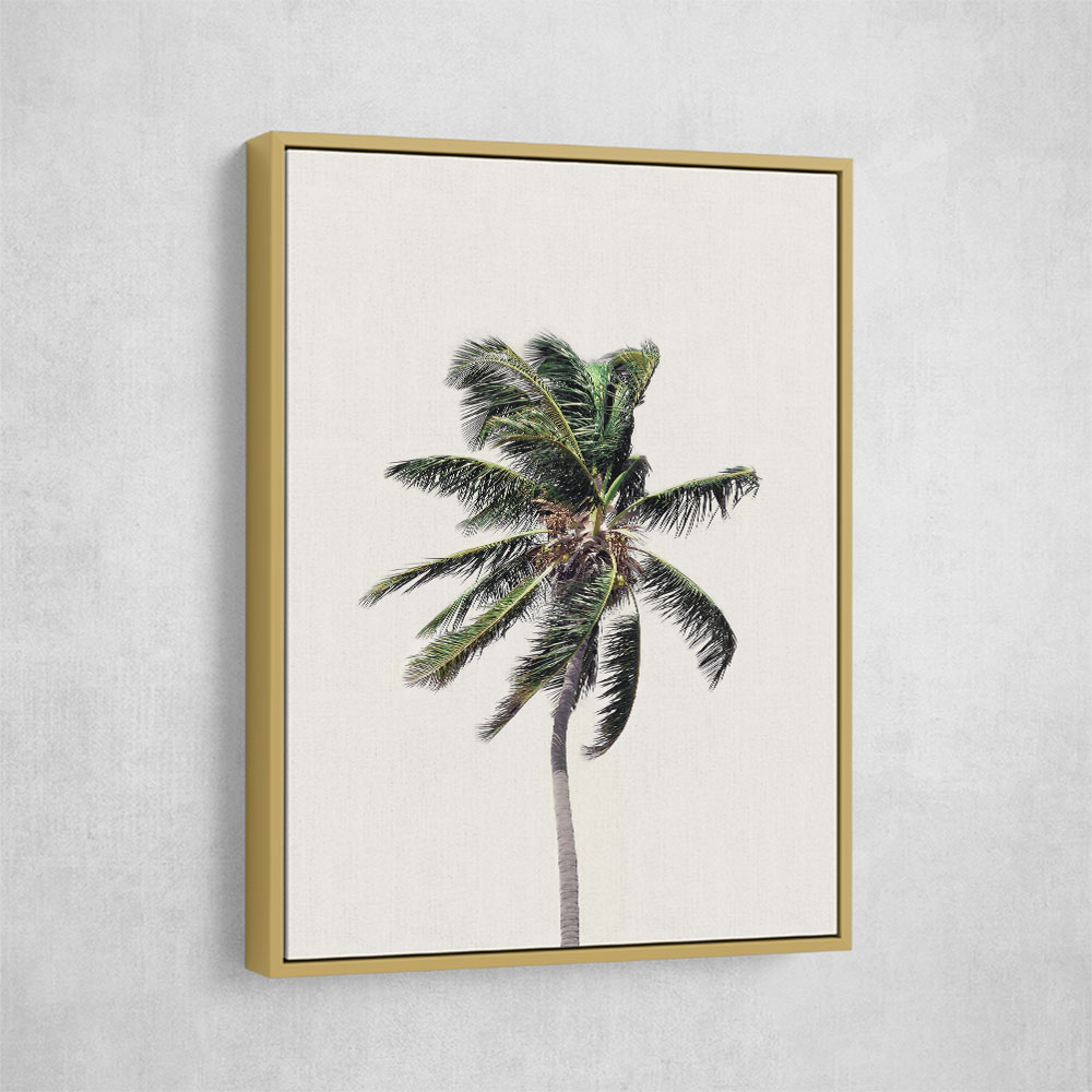 Windy Palm Tree