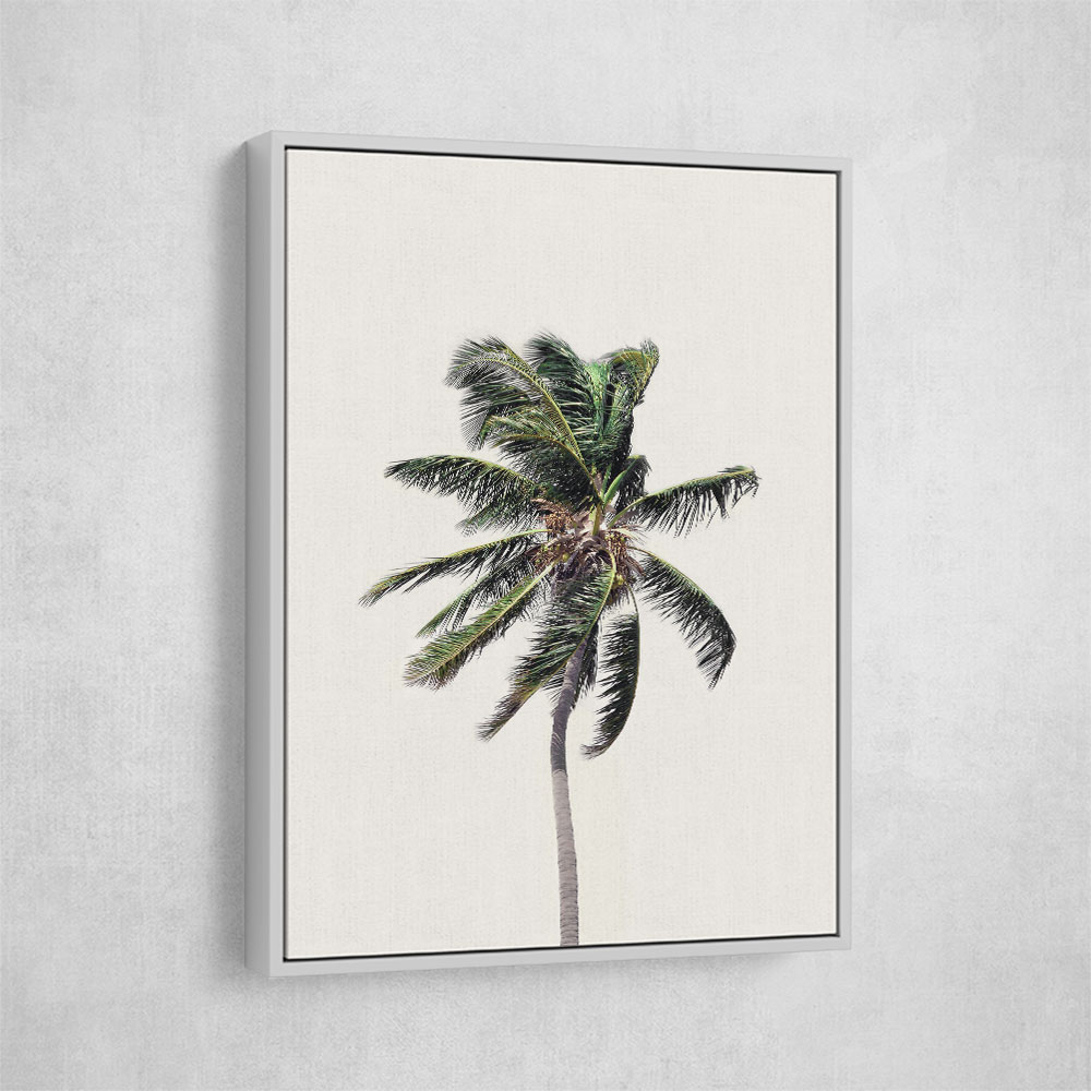 Windy Palm Tree