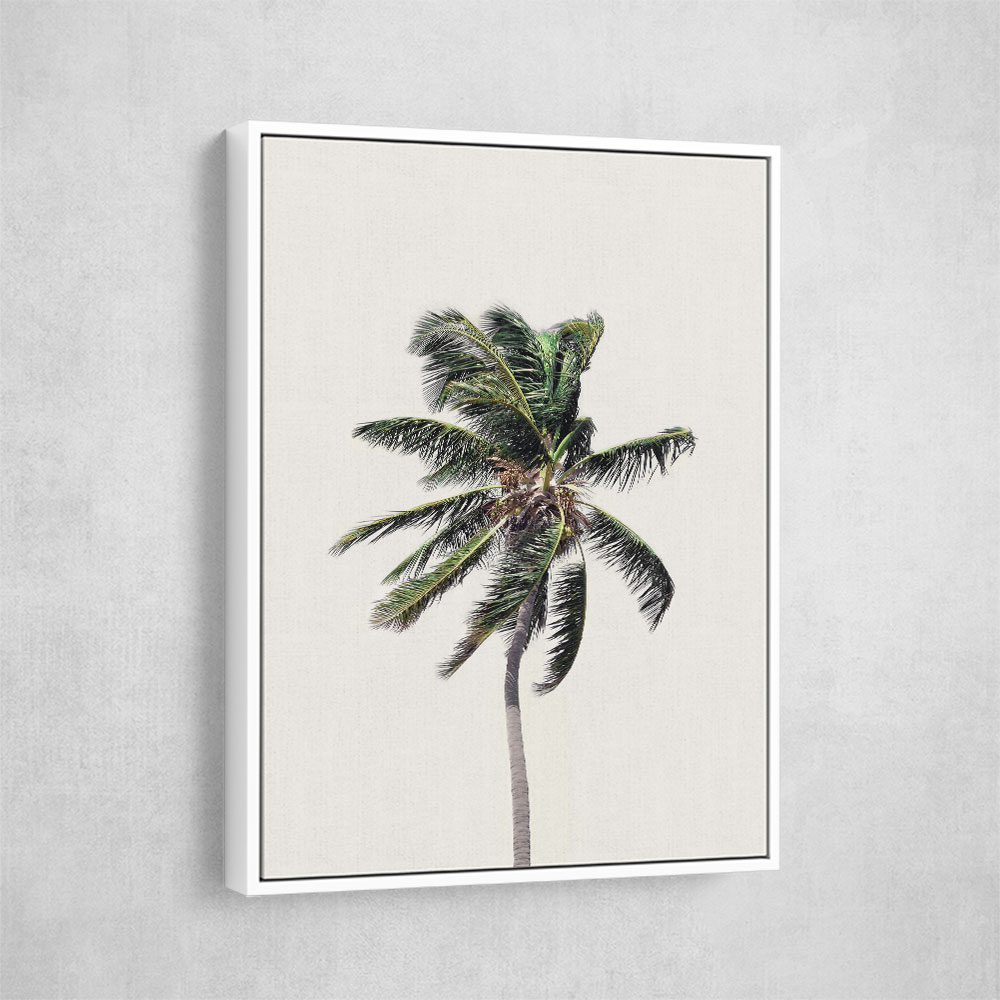 Windy Palm Tree