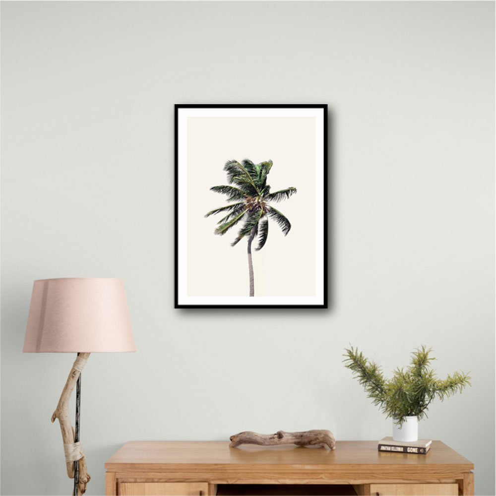 Windy Palm Tree