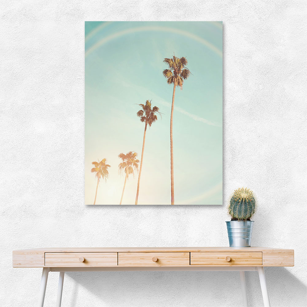 Sunny Cali Palm Tree