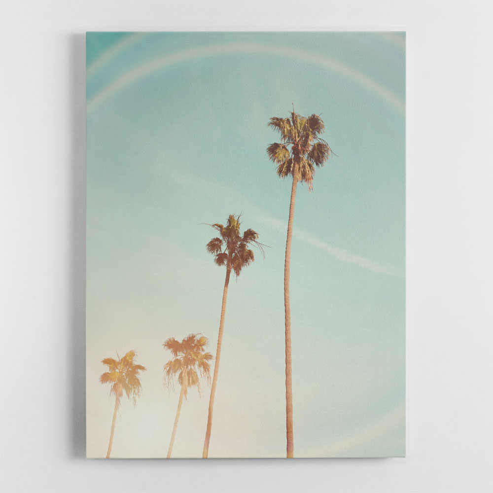 Sunny Cali Palm Tree