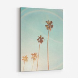 Sunny Cali Palm Tree