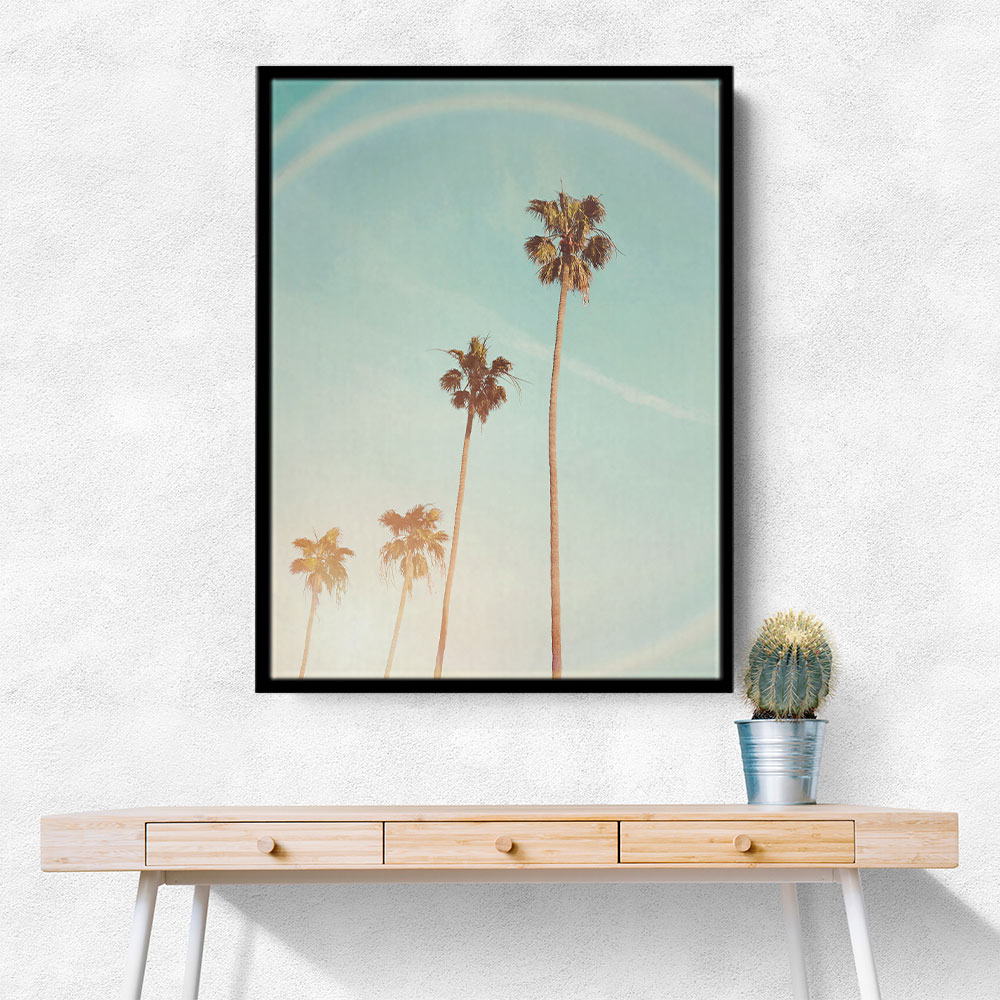 Sunny Cali Palm Tree