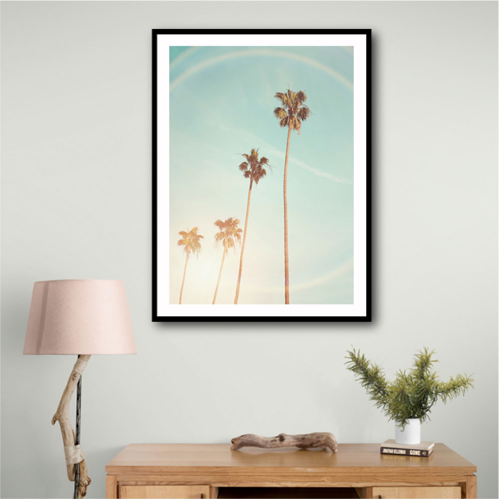 Sunny Cali Palm Tree