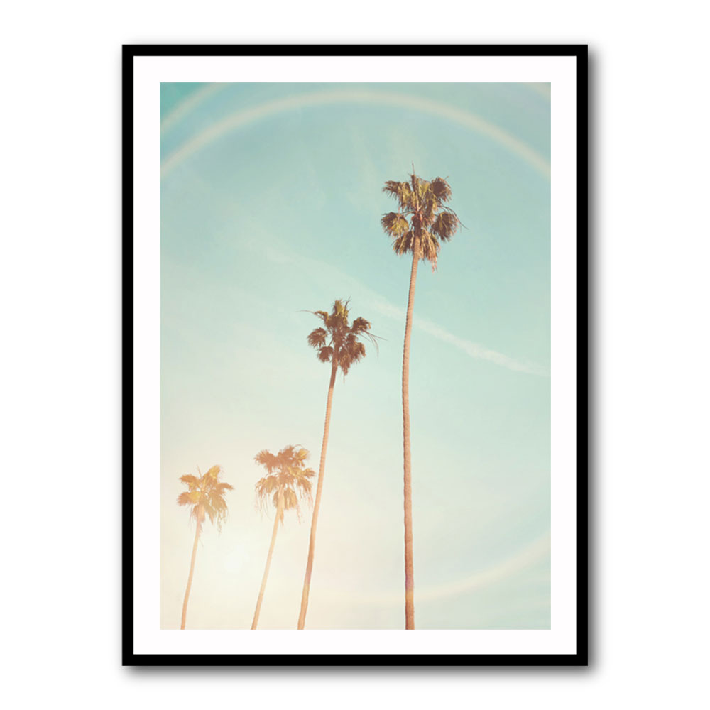 Sunny Cali Palm Tree