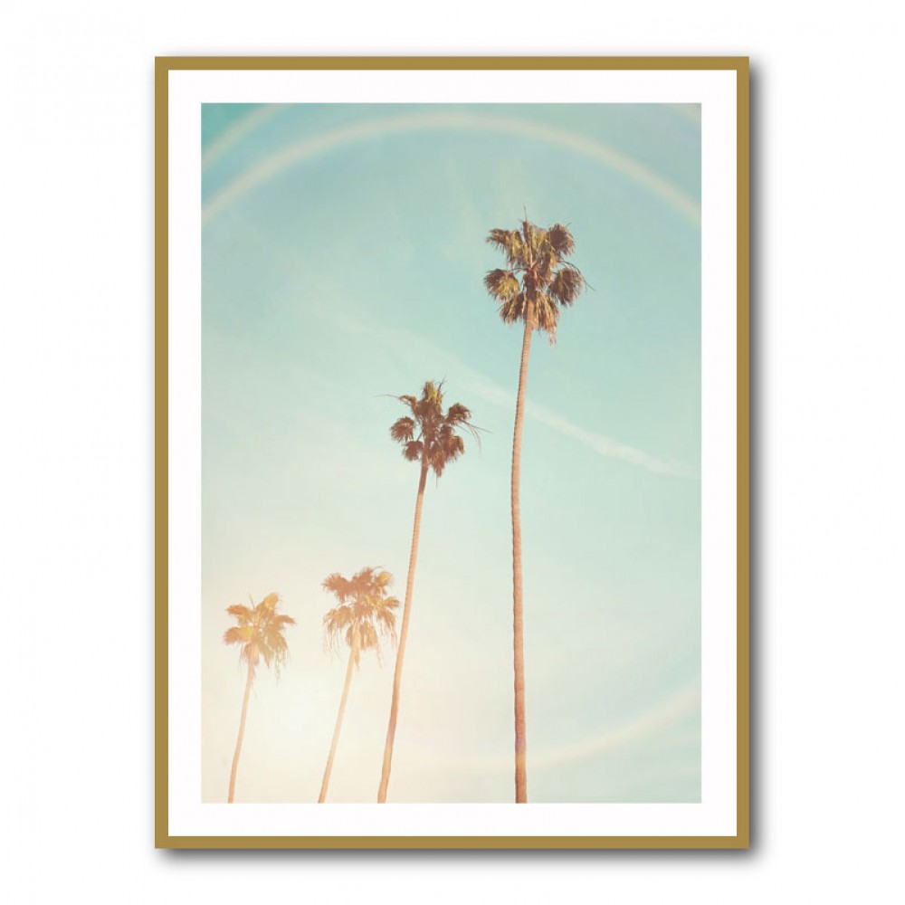 Sunny Cali Palm Tree