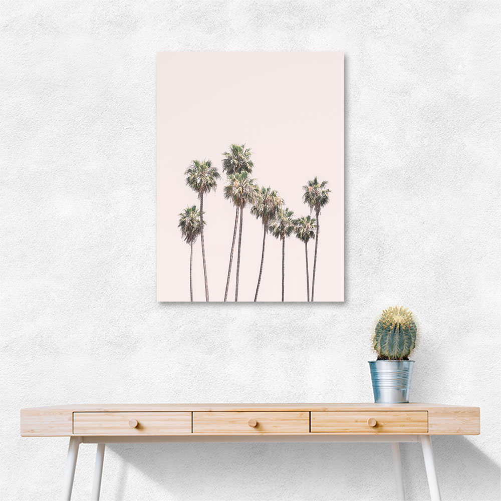 Blush Palms