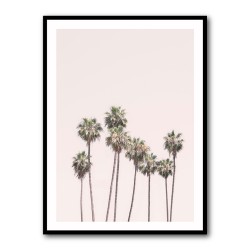 Blush Palms