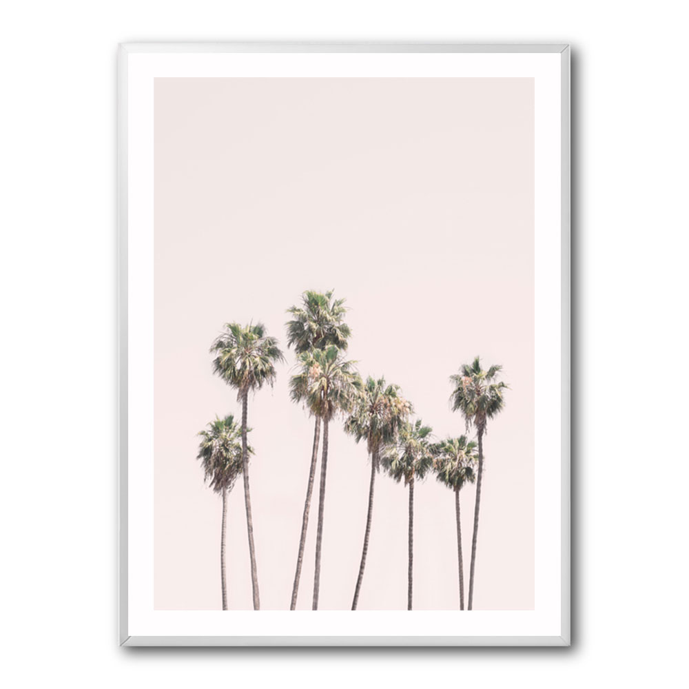 Blush Palms