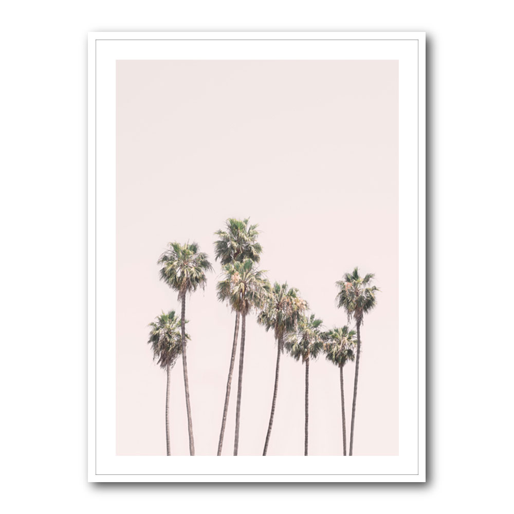 Blush Palms