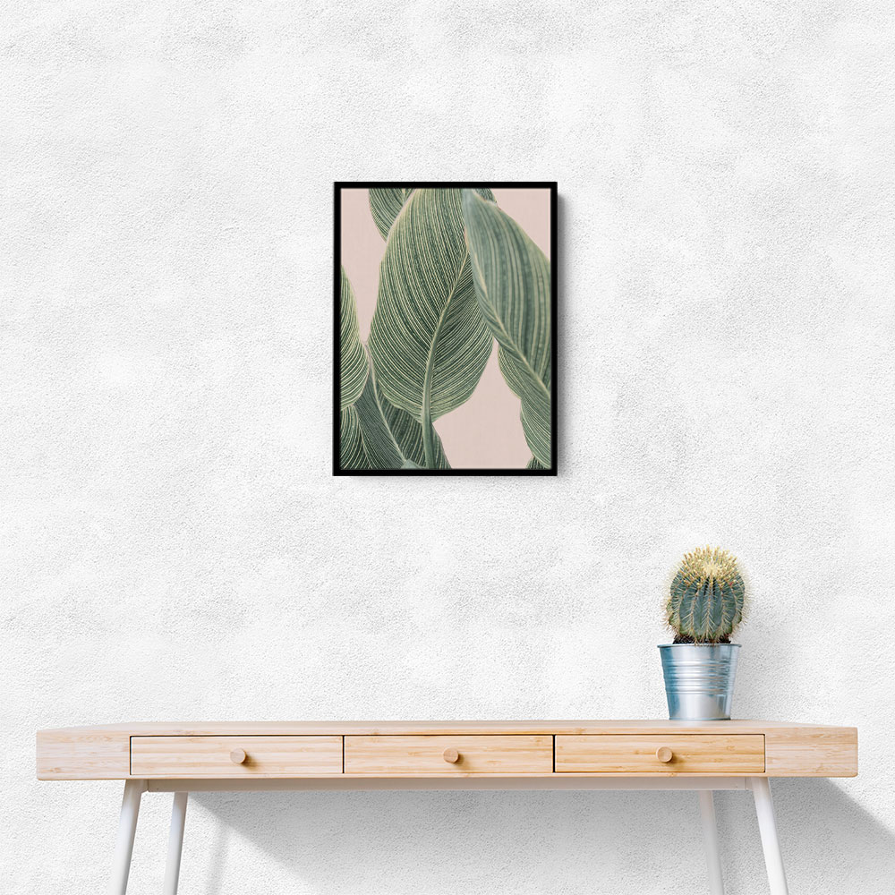 Calla Leaf