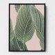 Calla Leaf