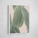 Calla Leaf