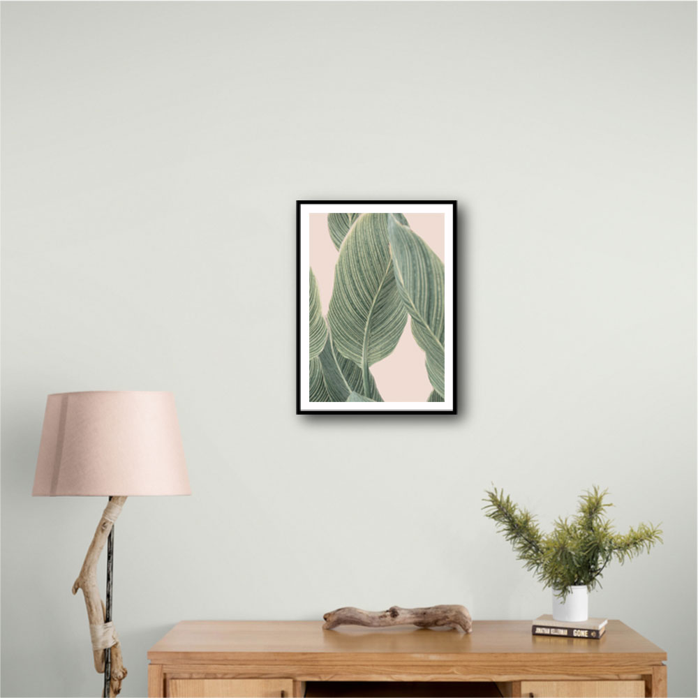 Calla Leaf