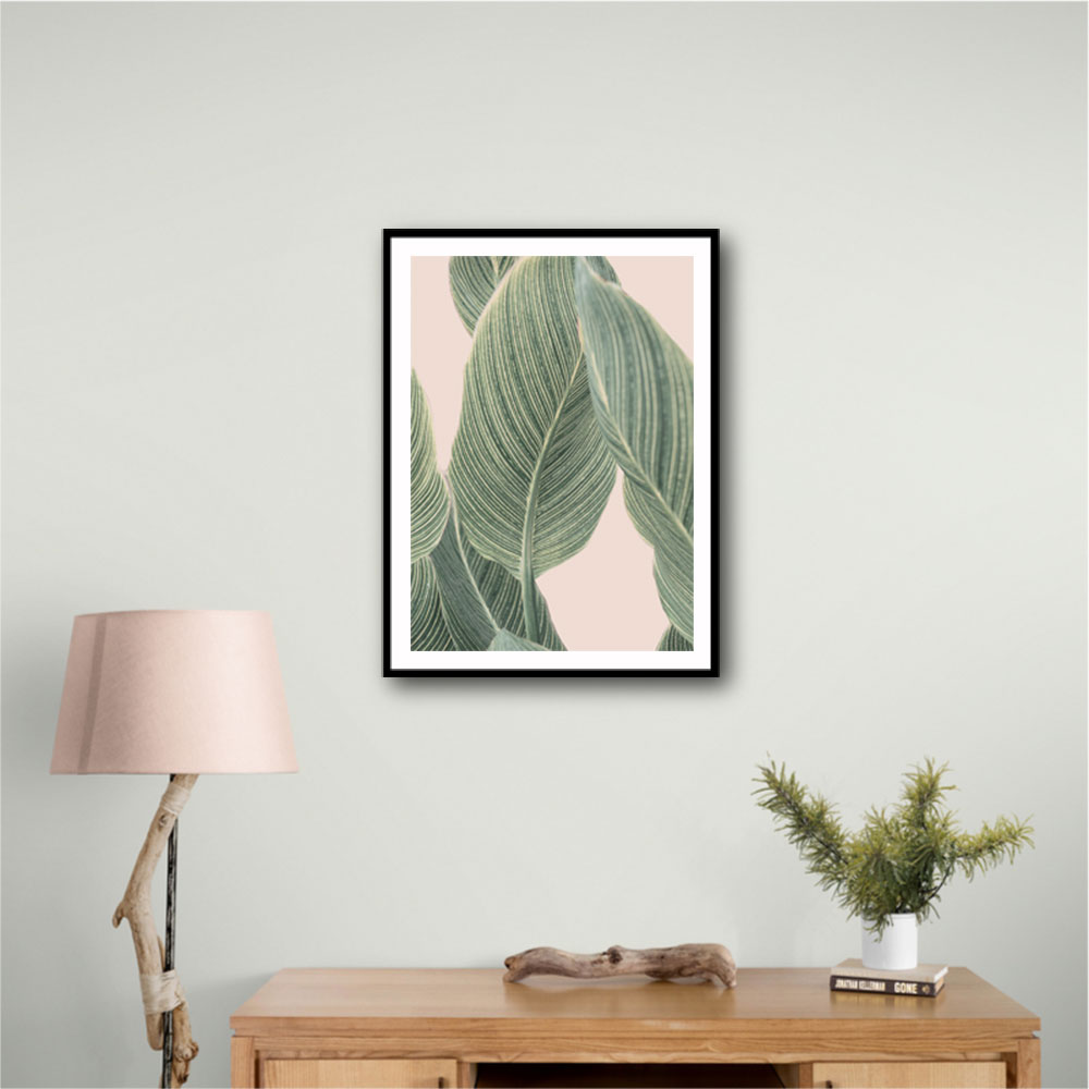 Calla Leaf