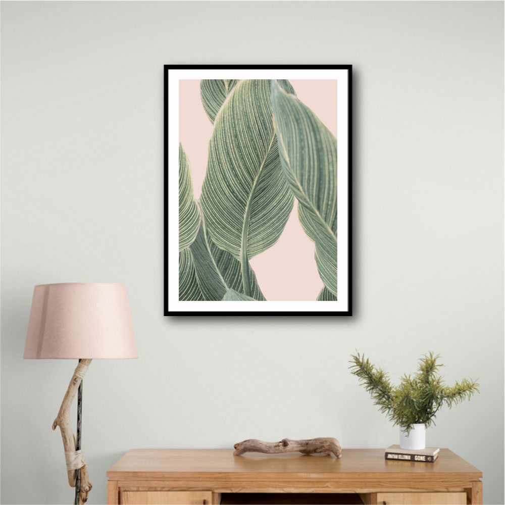 Calla Leaf